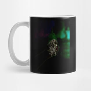 Digital collage and special processing. Hand pointing to some mystic castle. So beautiful. Very dark. Green. Mug